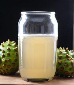 how to make soursop kombucha at home easily