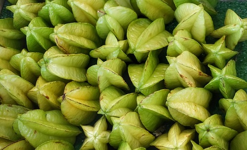 can dogs eat carambola fruit safely