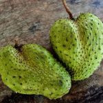 how soursop fruit tree looks like