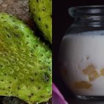 soursop yogurt recipes