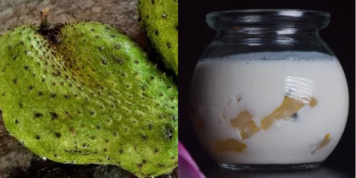 soursop yogurt recipes