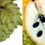 soursop vs atemoya