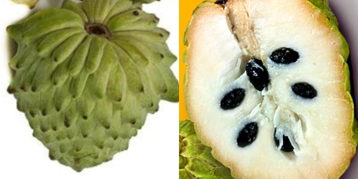 soursop vs atemoya