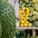 Does Soursop Make You Sleepy